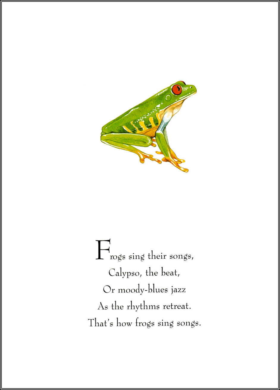 Frogs Sing Songs (02),绘本,绘本故事,绘本阅读,故事书,童书,图画书,课外阅读